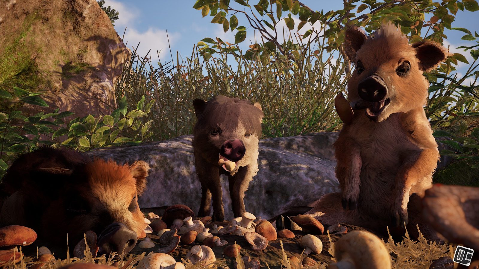 Recenze Adorable Adventures – zážitek pro celou rodinu