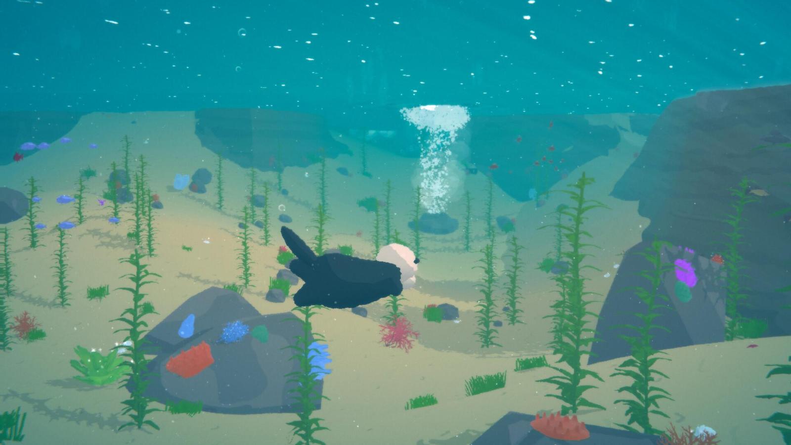 Cozy novinky s Terry #28