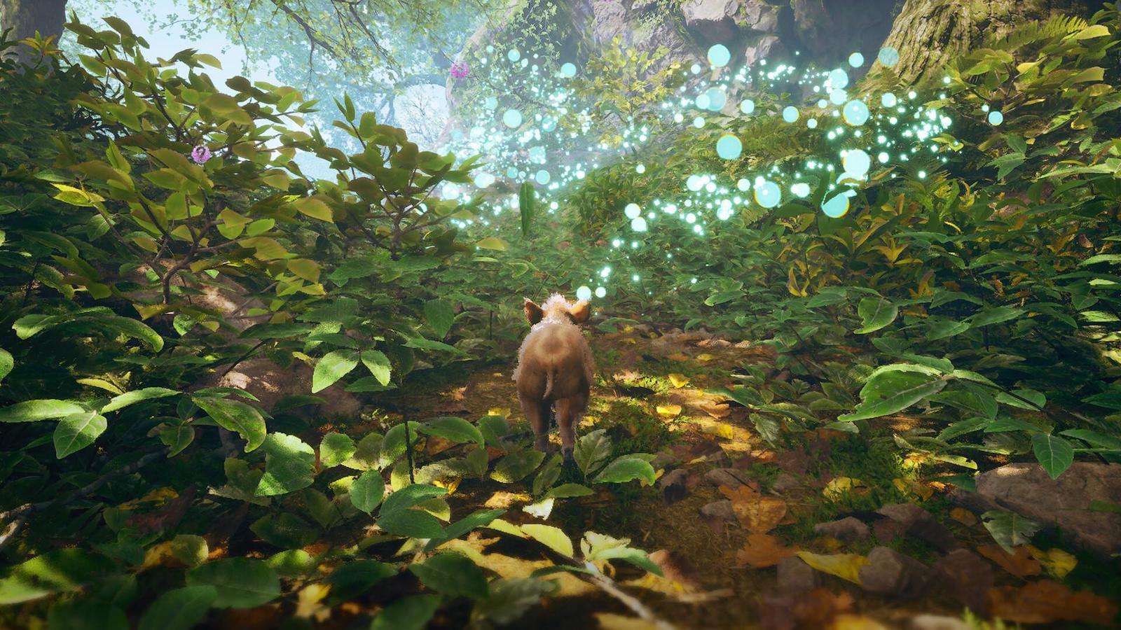 Cozy novinky s Terry #45