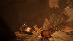 Pozadí pod obrázkem