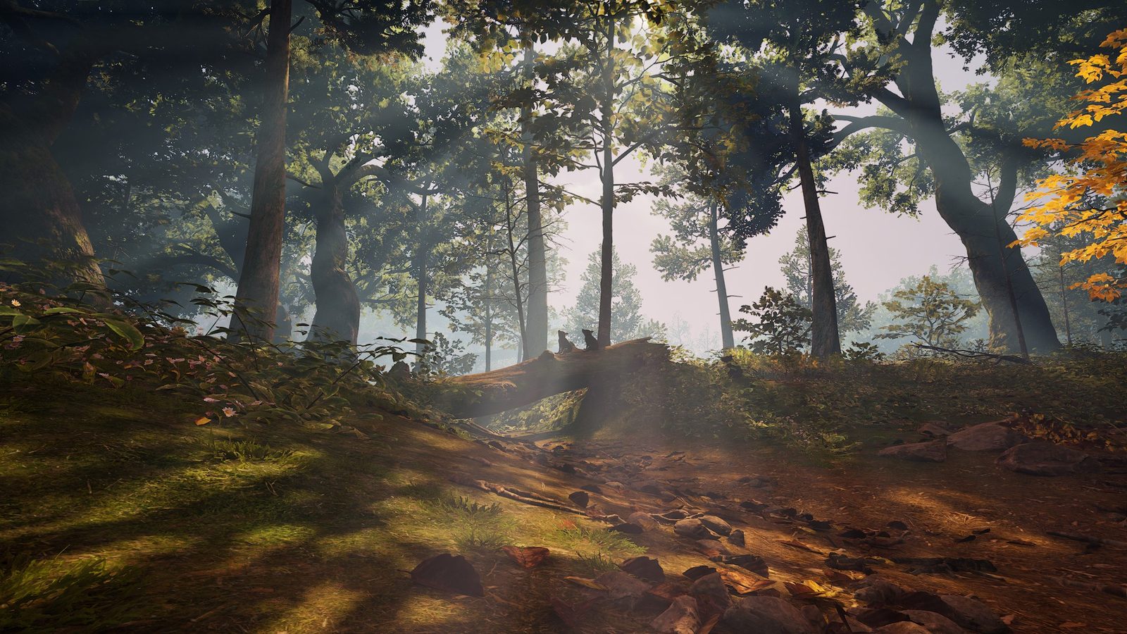 Recenze Adorable Adventures – zážitek pro celou rodinu