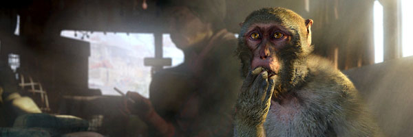 Koupě levného klíče od neautorizovaného prodejce se nemusí vyplatit