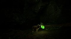 Pozadí pod obrázkem