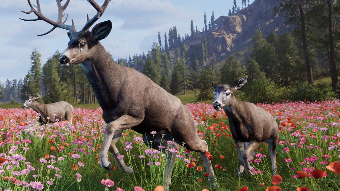 Slovenská hra Way of the Hunter 2 nabídne otevřený svět i psího společníka 