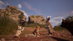 Pozadí pod obrázkem