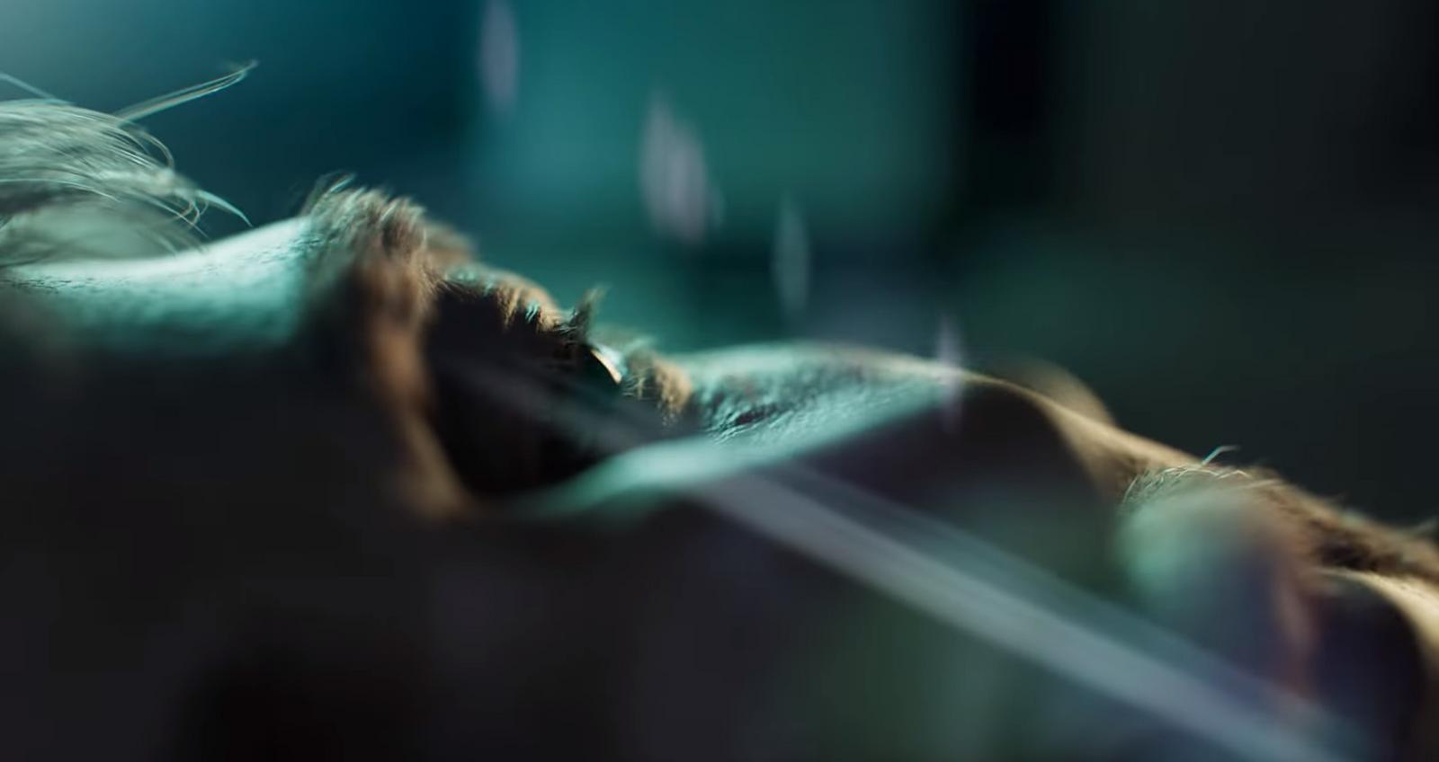 Tvůrci This War of Mine lákají na nový projekt