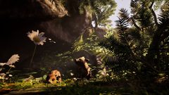 Pozadí pod obrázkem