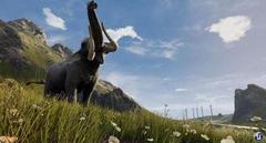 Pozadí pod obrázkem