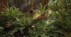 Pozadí pod obrázkem