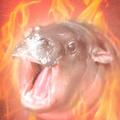 commenter-profile-image